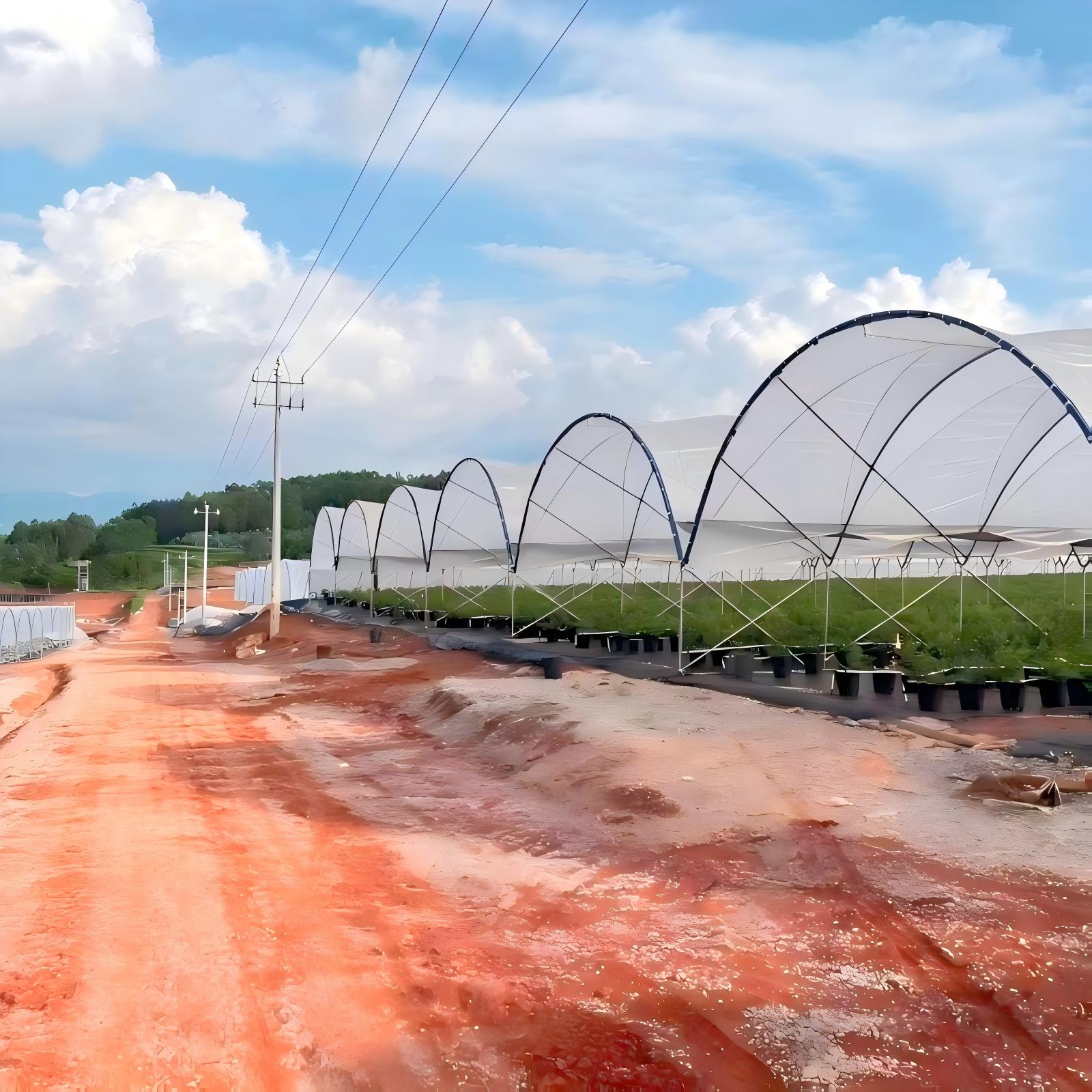 Anti-Aging Plastic Film Multi Span Greenhouse Long Life